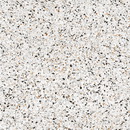 Terrazzo Bianco Venezia